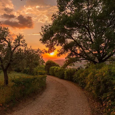 Casa Del Sole 4, Emma *